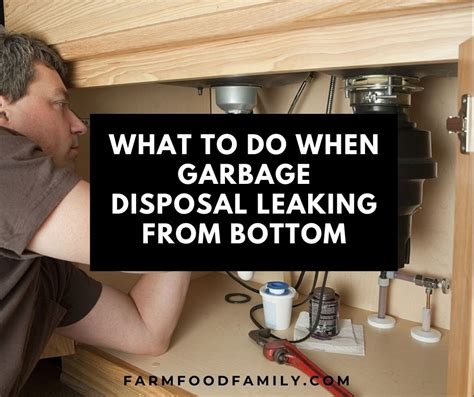 why is the bottom of my garbage disposal leaking|6 Reasons Disposal Leaks From Bottom (Causes & Fix),。